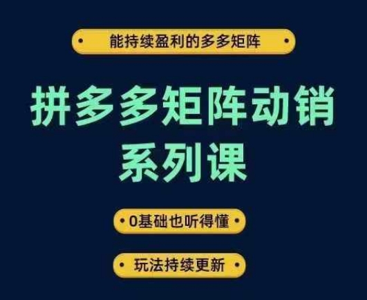 拼多多矩阵动销系列课，能持续盈利的多多矩阵，0基础也听得懂，玩法持续更新-项目资源库