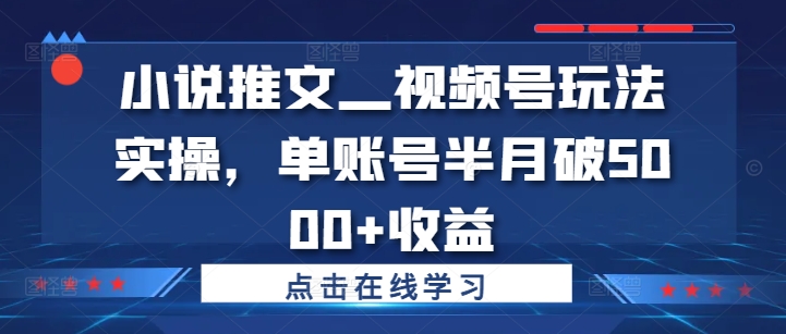小说推文—视频号玩法实操,单账号半月破5000+收益