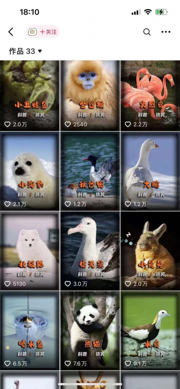 动物科普解说项目，撸创作者伙伴计划收益，保姆级实战教程-项目资源库