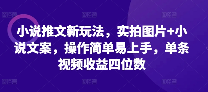 小说推文新玩法，实拍图片+小说文案，操作简单易上手，单条视频收益四位数-项目资源库