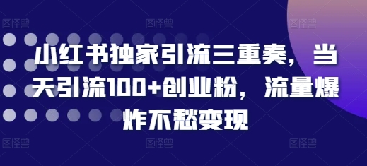 小红书独家引流三重奏，当天引流100+创业粉，流量爆炸不愁变现【揭秘】-项目资源库