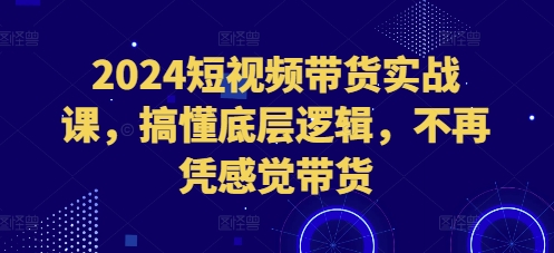 2024短视频带货实战课，搞懂底层逻辑，不再凭感觉带货-项目资源库