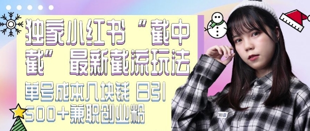 最新小红书截流玩法 独家截中截 单号成本几块钱 日引500+CY粉JZ粉-项目资源库