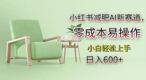 小红书减肥AI新赛道，零成本易操作，日入多张，小白轻松上手【揭秘】-项目资源库