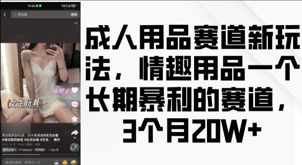 成人用品赛道新玩法，情趣用品一个长期暴利的赛道，3个月收益20个【揭秘】-项目资源库