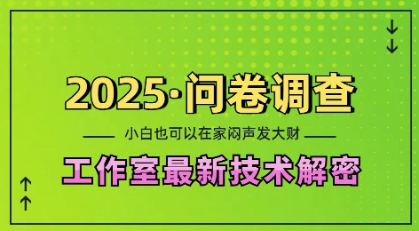 2025问卷调查最新工作室技术解密：一个人在家也可以闷声发大财，小白一天2张，可矩阵放大【揭秘】-项目资源库