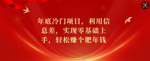 年底冷门项目,利用信息差,实现零基础上手,轻松赚个肥年钱【揭秘】