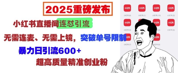 2025重磅发布：小红书直播间连怼引流，无需连麦、无需上镜，突破单号限制，暴力日引流600+-项目资源库