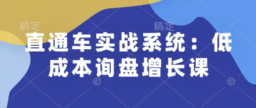 直通车实战系统：低成本询盘增长课，让个人通过技能实现升职加薪，让企业低成本获客，订单源源不断-项目资源库