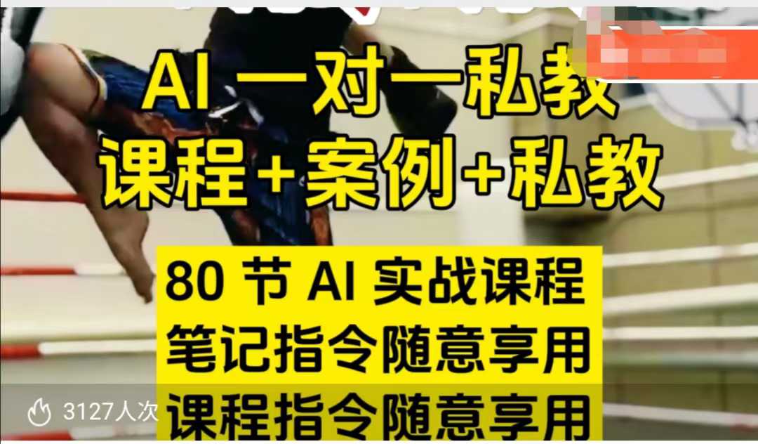 AI指令实战课，课程+案例，80节AI实战课程，笔记指令随意享用，课程指令随意享用-项目资源库