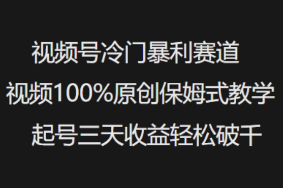 视频号冷门暴利赛道视频100%原创保姆式教学起号三天收益轻松破千-项目资源库