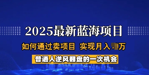 2025蓝海项目，普通人如何通过卖项目，实现月入过W，全过程【揭秘】-项目资源库