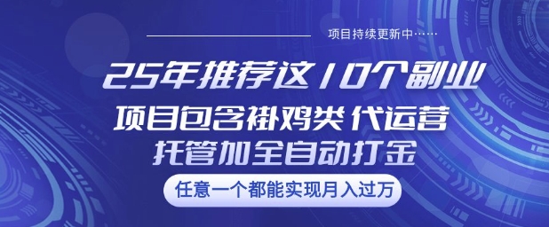 25年推荐这10个副业项目包含褂鸡类、代运营托管类、全自动打金类【揭秘】-项目资源库