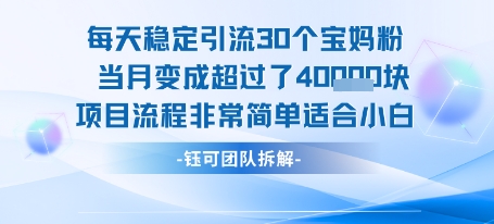 每天稳定引流30个人 当月变成超过了4个W项目流程非常简单适合小白-项目资源库