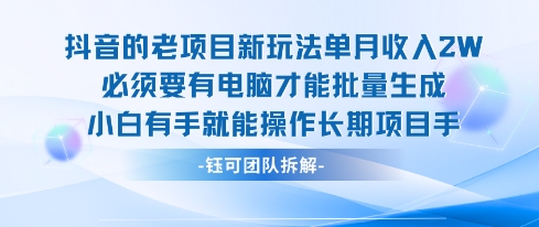 老项目新玩法单月收入2W小白有手就能操作长期项目-项目资源库