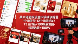 某大佬超级流量IP搞钱训练营，1个微信号+1万个微信好友+1个主打品+100条朋友圈-短视选题=100W-项目资源库