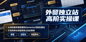 外贸独立站高阶实操课｜从域名服务器搭建到Elementor定制化建站，打造高转化询盘型独立站全教程-项目资源库