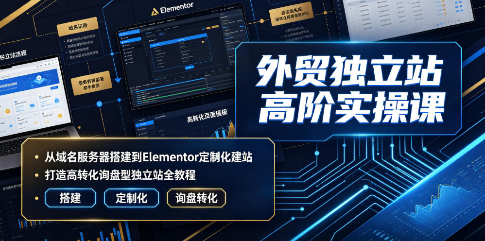 外贸独立站高阶实操课｜从域名服务器搭建到Elementor定制化建站，打造高转化询盘型独立站全教程-项目资源库
