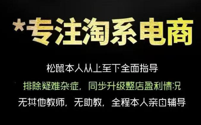 松鼠会电商VIP课程，从基础布局到高阶优化，助你掌握淘宝运营逻辑，提升店铺流量与转化（更新0823）-项目资源库