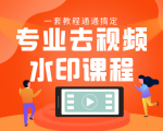 专业去视频水印教程 静态水印、动态水印、文字水印、图片水印一套教程通通搞定-项目资源库