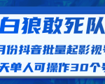 白狼敢死队最新抖音短视频批量起影视号(一天单人可操作30个号)视频课程-项目资源库