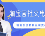 某站内部课程：淘宝客社交电商裂变，精准引流和粉丝裂变模式详解（共6节视频）-项目资源库
