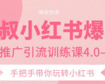 狼叔小红书爆款推广引流训练课4.0，手把手带你玩转小红书-项目资源库