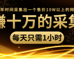 年赚十万的采集站,每天却只需要1小时,一年时间采集出一个售价10W以上的网站-项目资源库