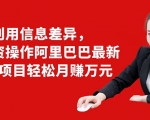 利用信息差异，零投资操作阿里巴巴最新管道项目轻松月赚10000+-项目资源库