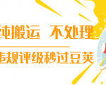抖音纯搬运 不处理 小技巧，30秒发一个作品，避免违规评级秒过豆荚-项目资源库
