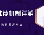 B站推荐机制详解，利用推荐系统反哺自身，视频关键词霸屏玩法（共2节视频）-项目资源库