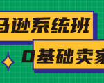 亚马逊系统班，专为0基础卖家量身打造，亚马逊运营流程与架构-项目资源库