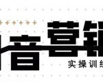 《12天线上抖音营销实操训练营》通过框架布局实现自动化引流变现-项目资源库