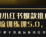 小红书爆款推广引流训练课5.0，手把手带你玩转小红书（17节实操视频+话术）-项目资源库
