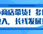 微信小商店带货，爆单多倍收入，长期复利循环！日赚300-800元不等-项目资源库