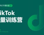 2020最新TikTok流量增长训练营(完结)附PPT-项目资源库