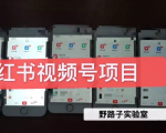 野路子小红书视频号1.0项目,直接上手操作就能赚钱的视频号项目-项目资源库
