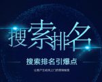 搜索排名引爆点:教你快速掌握各个搜索引擎排名算法,让客户主动找上你的秘笈-项目资源库