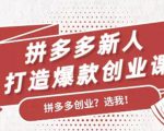 拼多多新人打造爆款创业课：快速引流持续出单，适用于所有新人-项目资源库