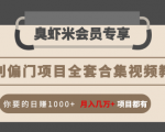 暴利偏门项目全套合集视频教程：你要的日赚1000+月入几万+项目都有-项目资源库