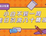 清和行记引流训练营:小白不到一周便能日引流几十精准粉-项目资源库