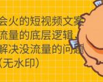 只说话就会火的短视频文案课，从根本上解决没流量的问题-项目资源库