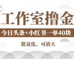 工作室撸金二件套：撸今日头条原创收益+小红书一单利润40块项目-项目资源库