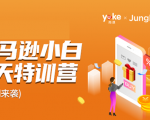 雨课·亚马逊小白特训营第9期 跨境电商挺赚钱的 有朋友已经月入几十万美金-项目资源库