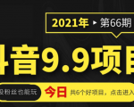 抖音9.9课程项目，没粉丝也能卖课，一天300+粉易变现-项目资源库