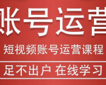 短视频账号运营课程:从话术到短视频运营再到直播带货全流程,新人快速入门-项目资源库