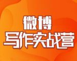 村西边老王·微博超级写作实战营,帮助你粉丝猛涨价值999元-项目资源库