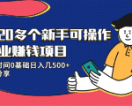 20多个新手可操作的副业赚钱项目：业余时间0基础日入几500+实操分享-项目资源库
