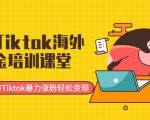 最新Tiktok海外掘金培训课堂:带你玩转Tiktok暴力涨粉轻松变现-项目资源库