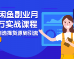 2021闲鱼副业月入过万实战课程:从开店到选择货源到引流,全程实战教学-项目资源库